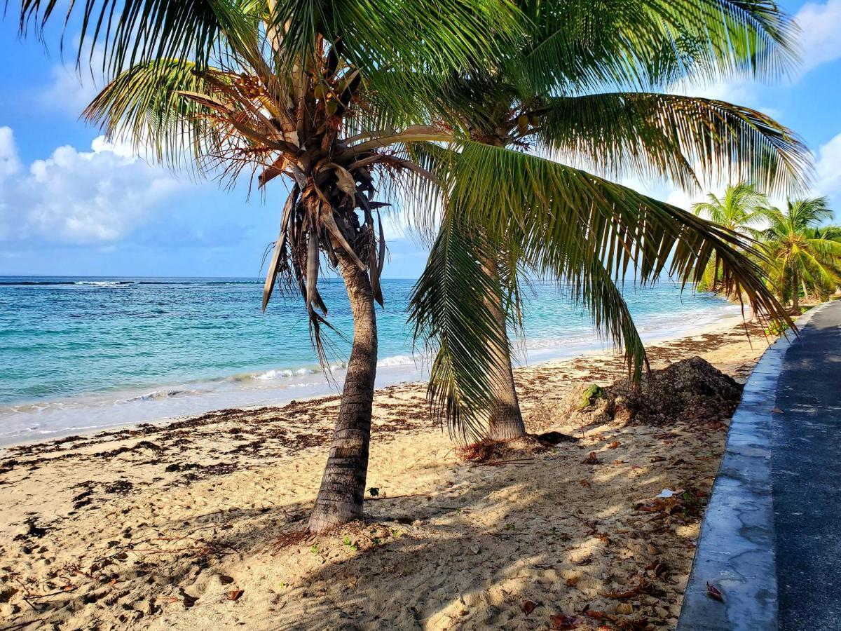 Villa L'Anjou Creole A Sainte Anne En Guadeloupe Avec Piscine Privee Et 2 Chambres Pour 4 Personnes Sainte-Anne (Grande-Terre) Exterior foto