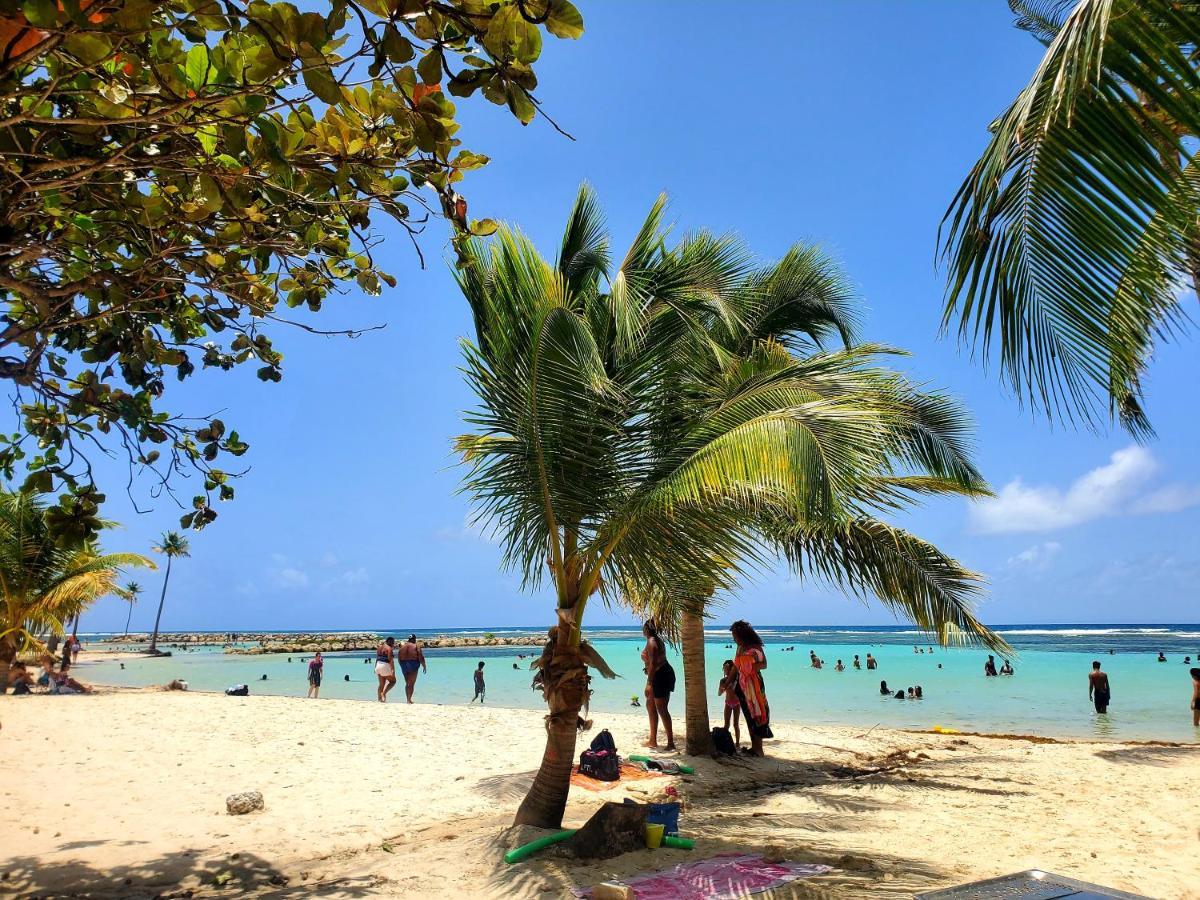 Villa L'Anjou Creole A Sainte Anne En Guadeloupe Avec Piscine Privee Et 2 Chambres Pour 4 Personnes Sainte-Anne (Grande-Terre) Exterior foto
