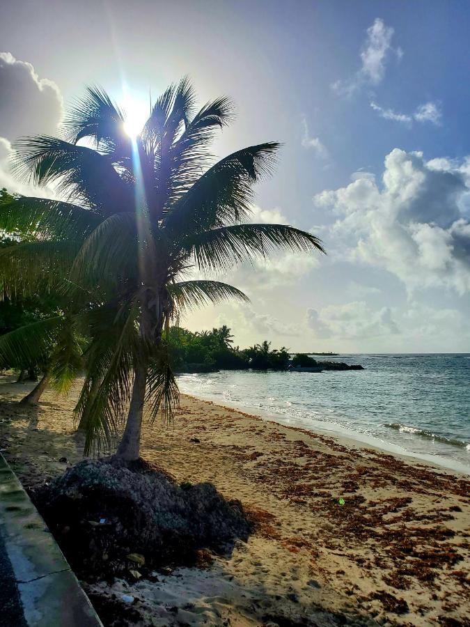 Villa L'Anjou Creole A Sainte Anne En Guadeloupe Avec Piscine Privee Et 2 Chambres Pour 4 Personnes Sainte-Anne (Grande-Terre) Exterior foto