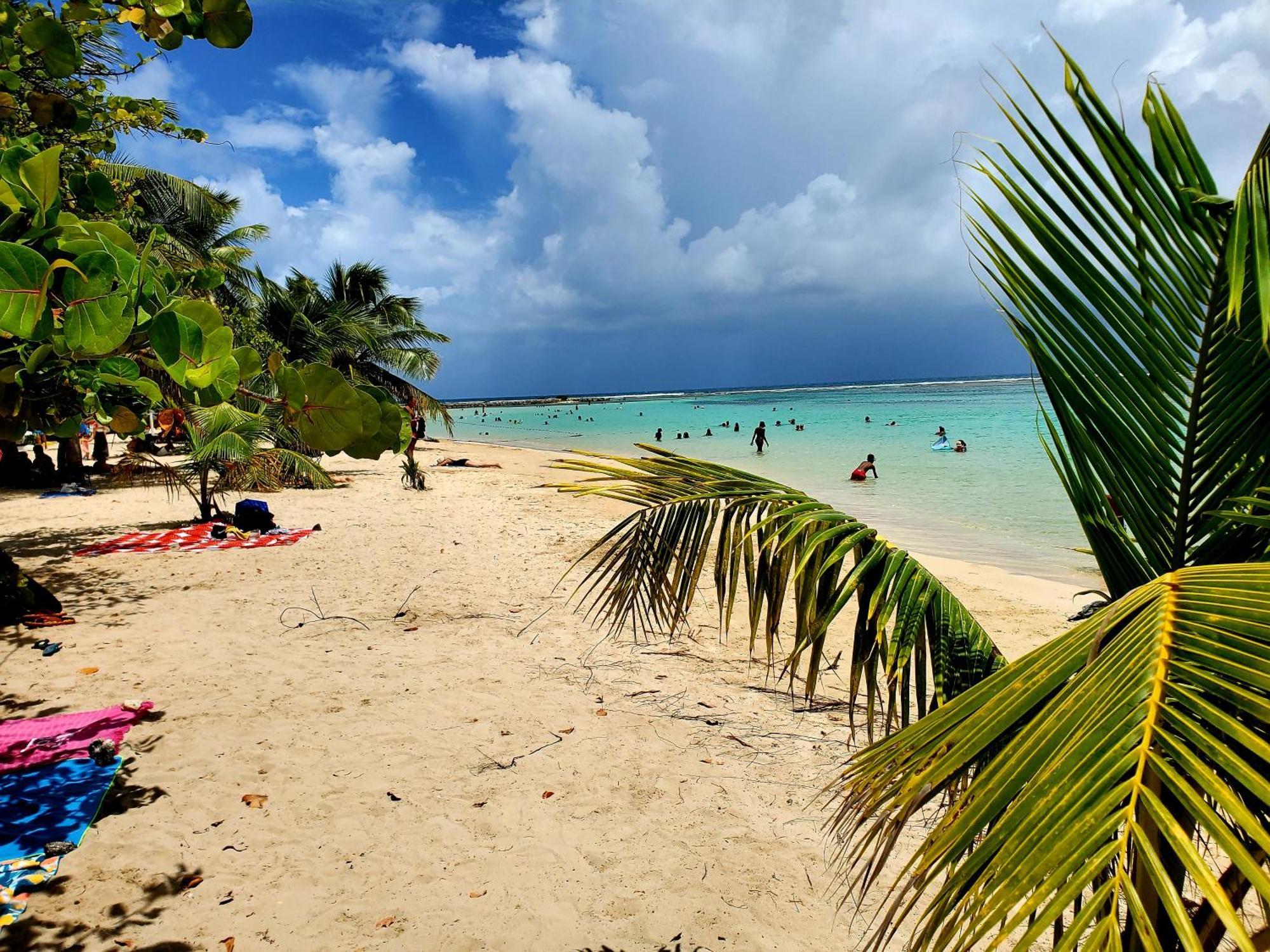 Villa L'Anjou Creole A Sainte Anne En Guadeloupe Avec Piscine Privee Et 2 Chambres Pour 4 Personnes Sainte-Anne (Grande-Terre) Exterior foto